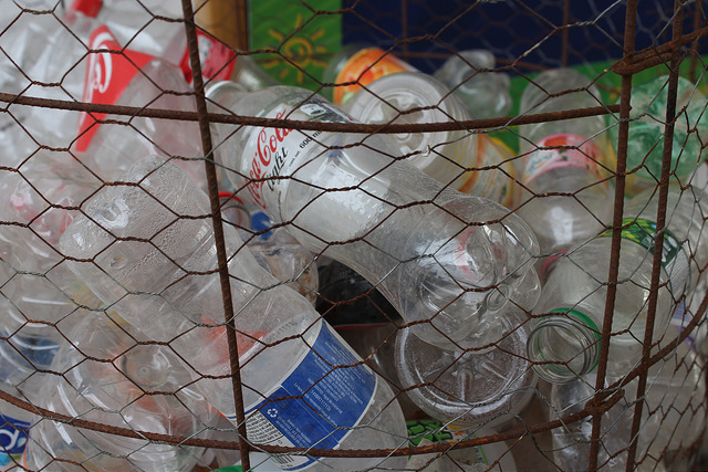 Cuarto Maratón de Recolección de Envases Vacíos