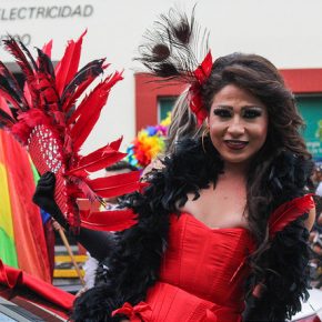 18596356714_8fdb6cda25_z