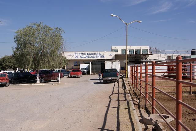 En 2017, el Rastro Municipal ha recibido siete observaciones por parte de Cofepris