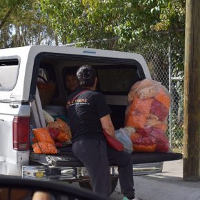 32461696023_da69163f2a_z