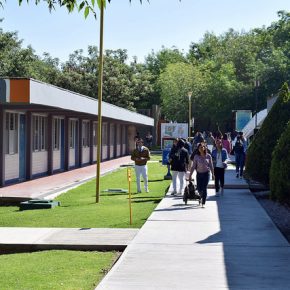 33451801031_d53b02165d_z