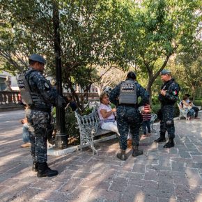 33904156232_2a7ea463d9_z