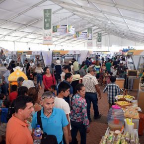 34231380075_a9dc7ceab7_z