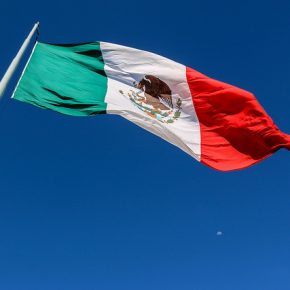 37034145111_b34e1383ce_z