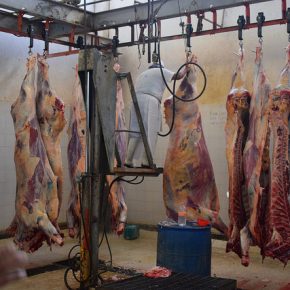 38268176672_55e1d7874d_z