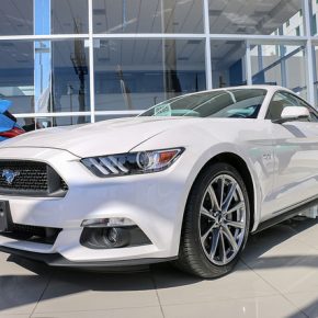 38680285262_02ac65fbd0_z