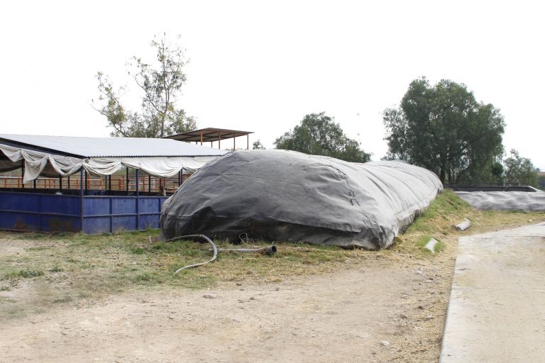 Biodigestor de la UAA genera energía y biofertilizante para actividades en la Posta Zootécnica