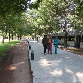 6209244948_1515589805_z