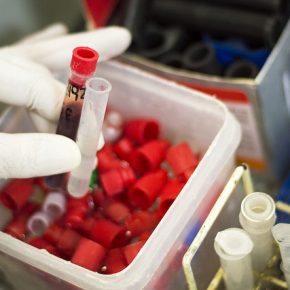 9272347940_3e1be45744_z