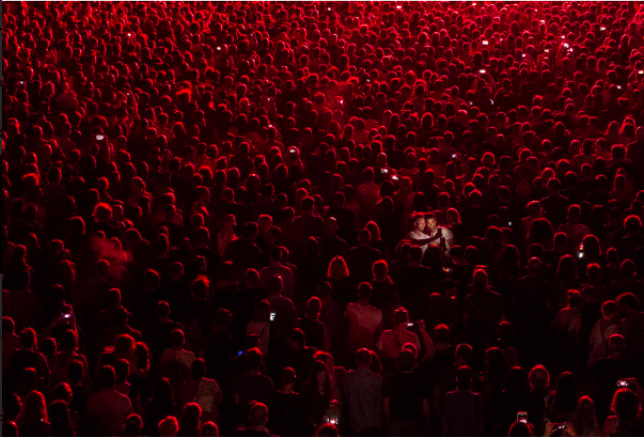Expondrán obras ganadoras del Premio Internacional de Fotoperiodismo Andréi Stenin