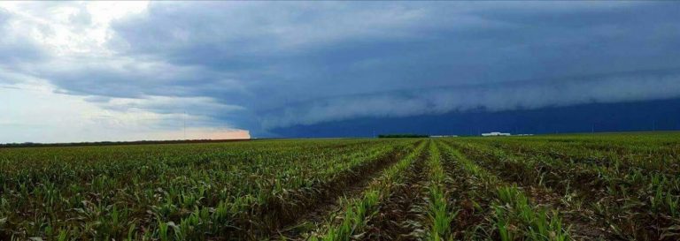 Obtienen premios estudiantes ganadores del reto de Innovación Solar