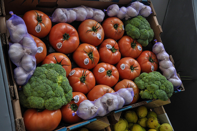 Realizan Curso-Taller Etiquetado de Alimentos de acuerdo a la normatividad vigente de los EU