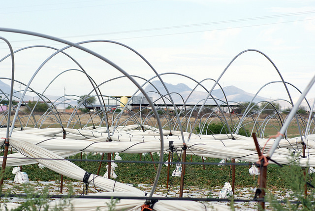 Entregan recursos para la modernización del Distrito de Riego 01