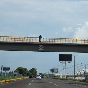 28702449660_361273912a_z