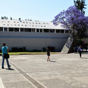 33141542004_c5ca693a57_z