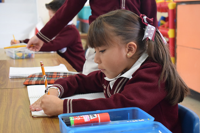 Son determinantes las emociones en los procesos cognitivos