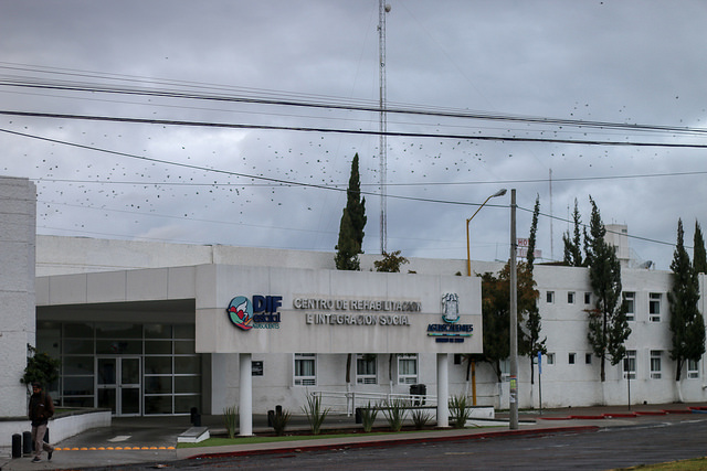 Presume DIF estatal inversión en Trabajo Social