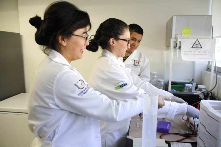 UAA busca alternativas terapéuticas para sanar heridas en córnea por quemadura química