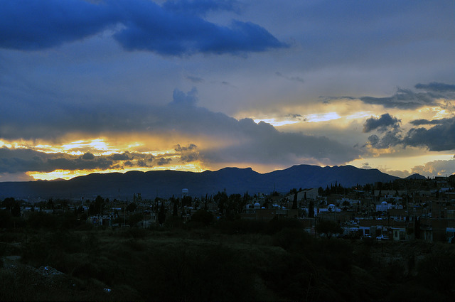 Soliloquio / Tres guineas