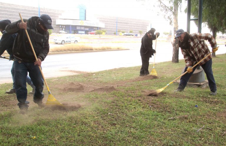 Protegen del frío áreas verdes del municipio
