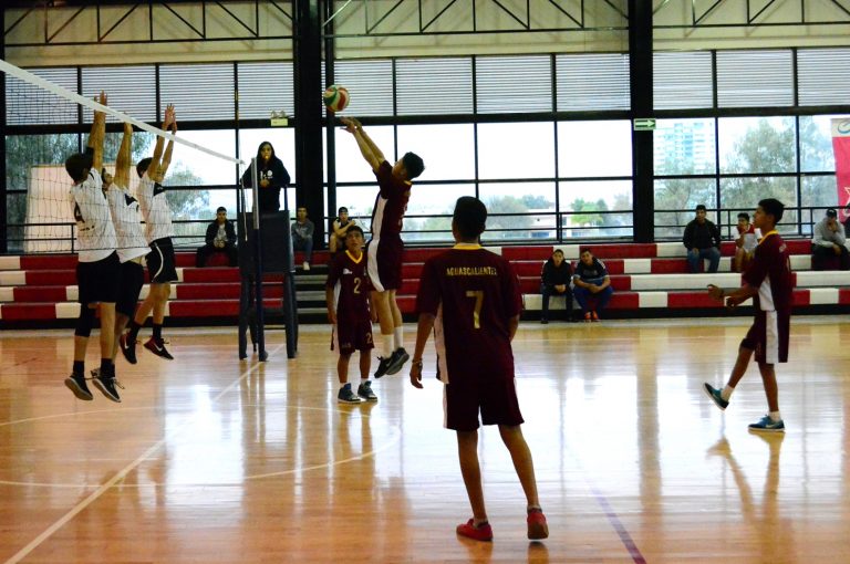 Se definen ganadoras de voleibol femenil y sub 16 en varonil de Olimpiags 2017