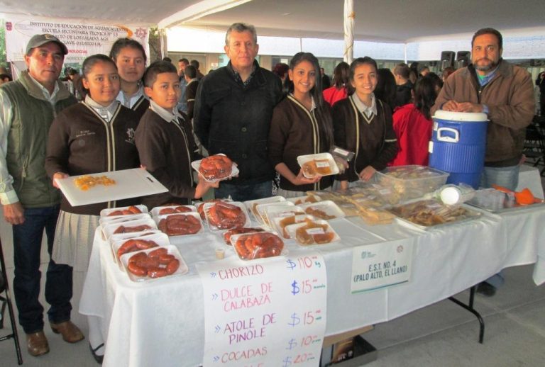 16 secundarias de la entidad trabajan bajo la modalidad de técnicas agropecuarias