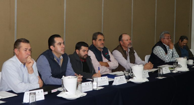 Reunión del Consejo Directivo del Comité Técnico de Aguas Subterráneas