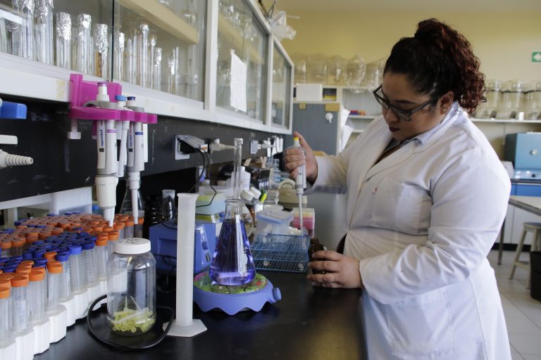 Investigadores de la UAA identifican repercusiones de quimioterapia a base de nanopartículas