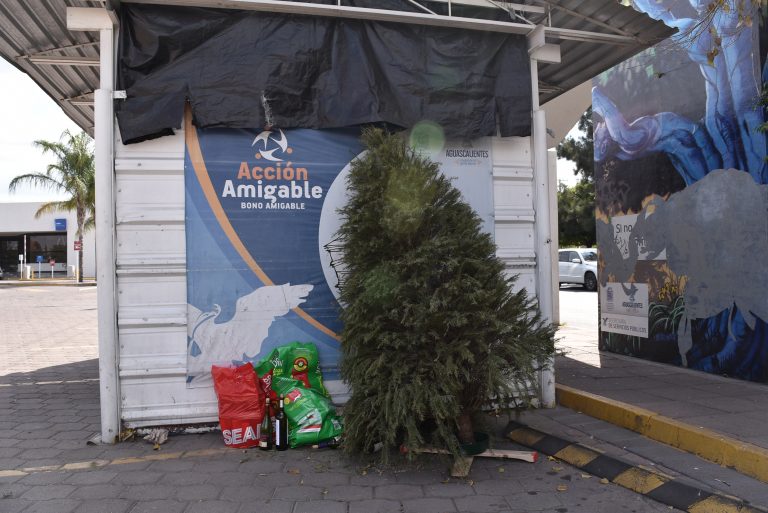 Imágenes de Aguascalientes