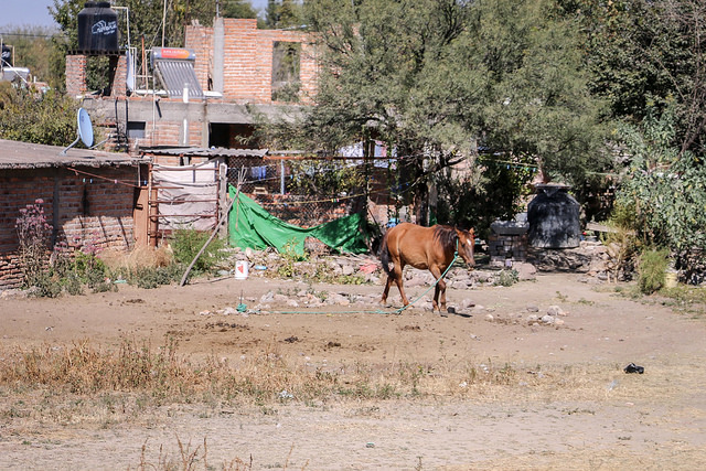 Irregularidad de las tierras impiden que familias vulnerables de Aguascalientes accedan a apoyos