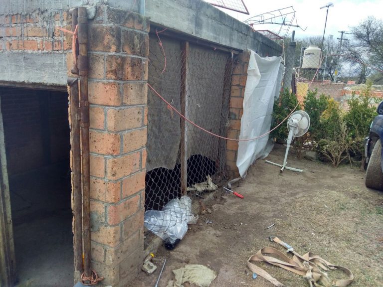 Detectan nuevo rastro clandestino