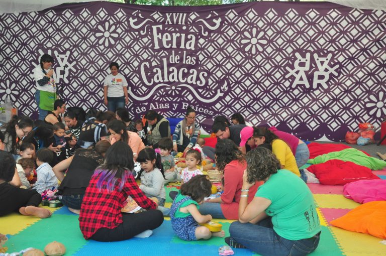 Actividades de Alas y Raíces en el 2017