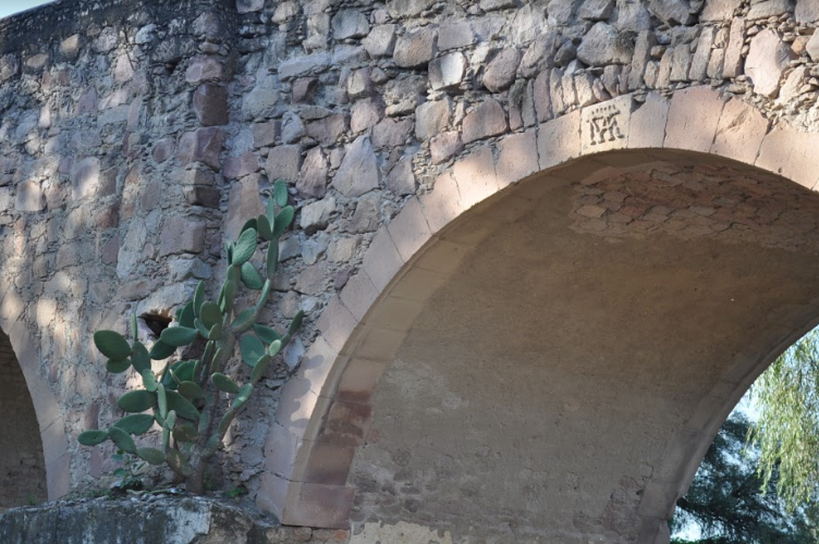 Imágenes de Aguascalientes