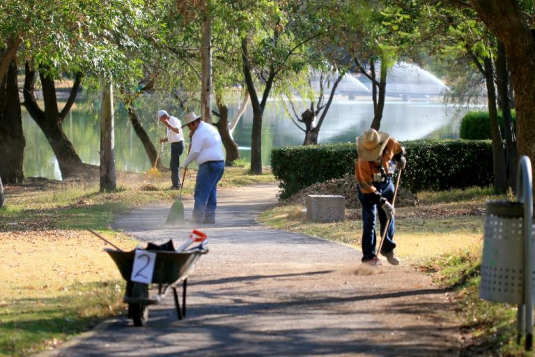 Se lleva a cabo jornada de limpieza en el Cedazo