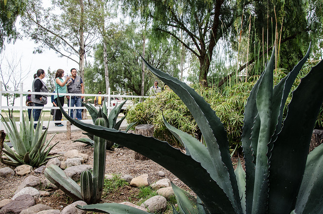 Vigila la Proespa los humedales de la entidad