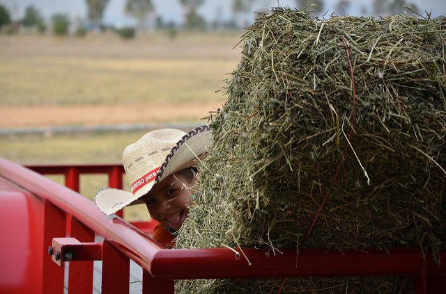 Se reúne Consejo Estatal Agropecuario de Aguascalientes con autoridades gubernamentales