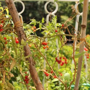 15082267495_e2dacc4234_z