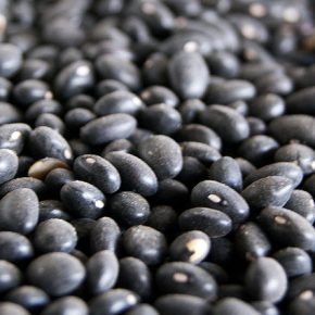 16797602545_e94f4c46f3_z