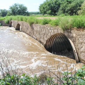 19550698122_98e911d4ea_z