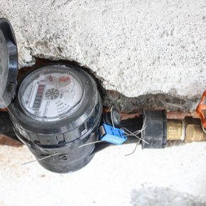 19929997041_1f53a5df55_z