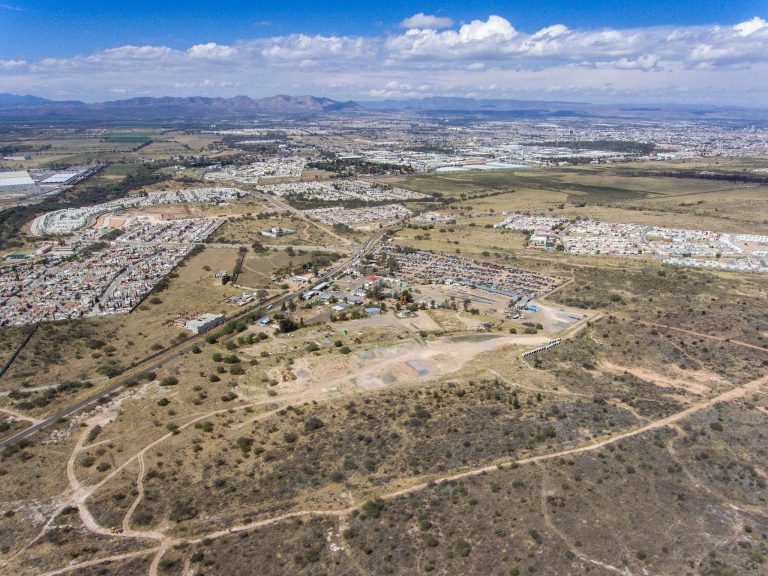 Línea de Tiempo: El posible ecocidio en el Bosque de Cobos