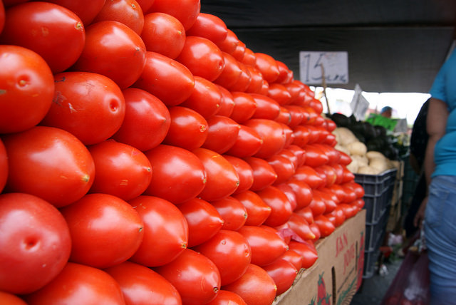 Detienen dogmas avances científicos sobre transgénicos