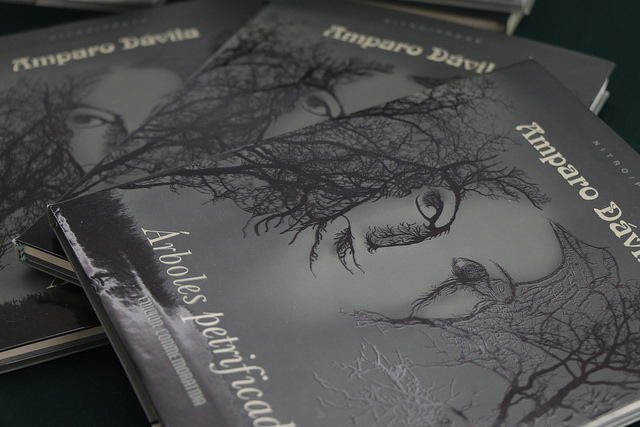 Obra de Amparo Dávila es referencia indispensable para jóvenes cuentistas