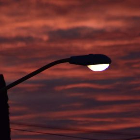 38110543605_269dacc255_k