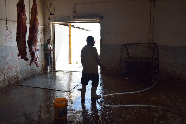 Rastros de Aguascalientes están en focos rojos, señala Partido Verde