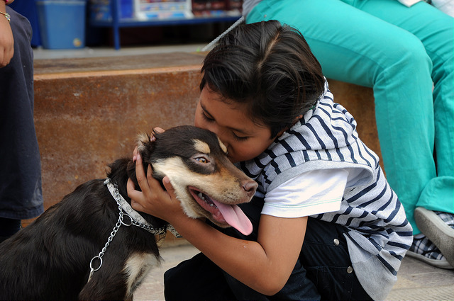 Promueven campaña de esterilización canina y felina en Aguascalientes