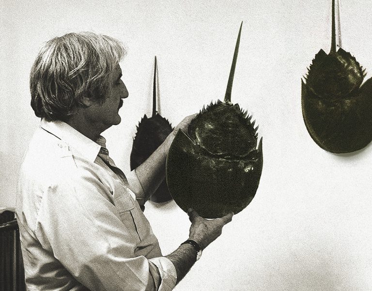 Limulus, de Brian Nissen en el Museo Aguascalientes