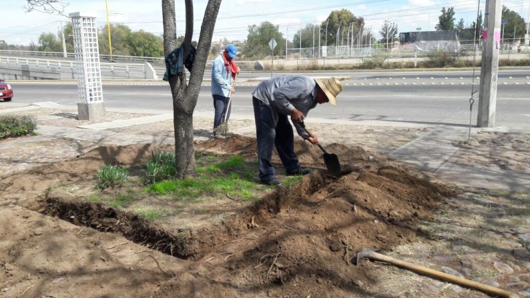Realizan labores de mantenimiento en el Cedazo