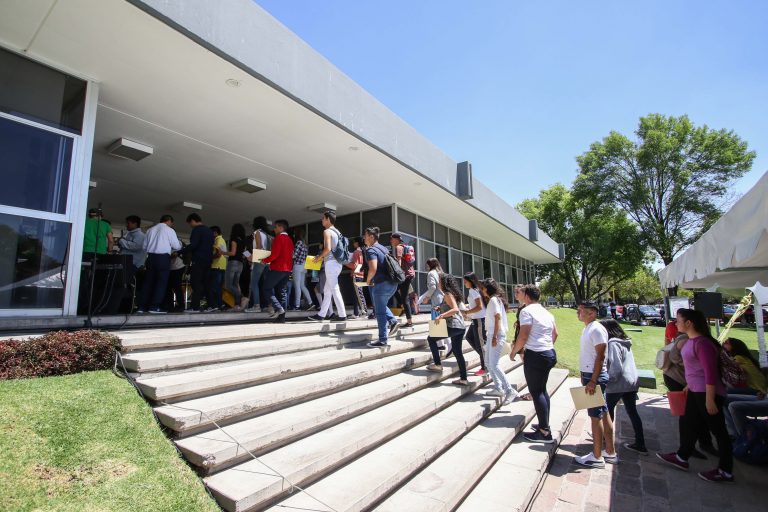 La mitad de los profesionistas egresan de diez carreras