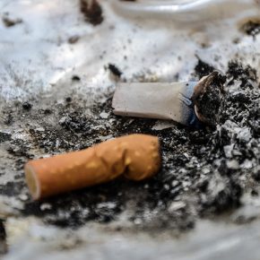 12913806343_35fd3aa300_z